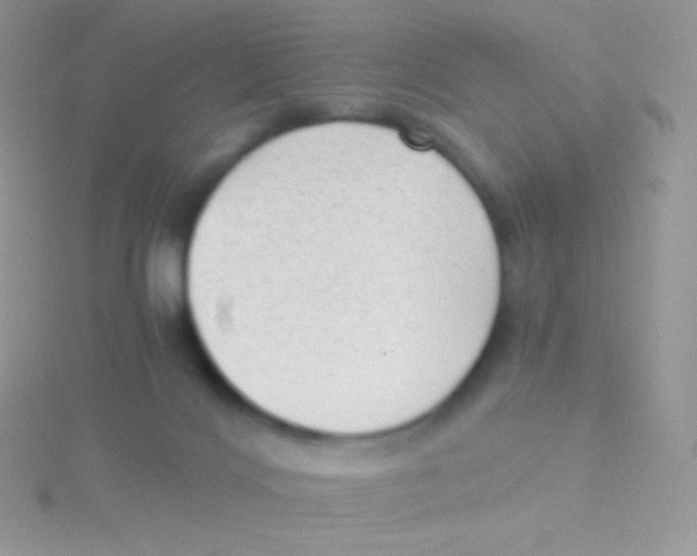 X0000115040028200911231142