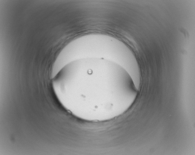 X0000115040029200911231142