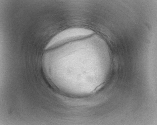 X0000115040034200911231141