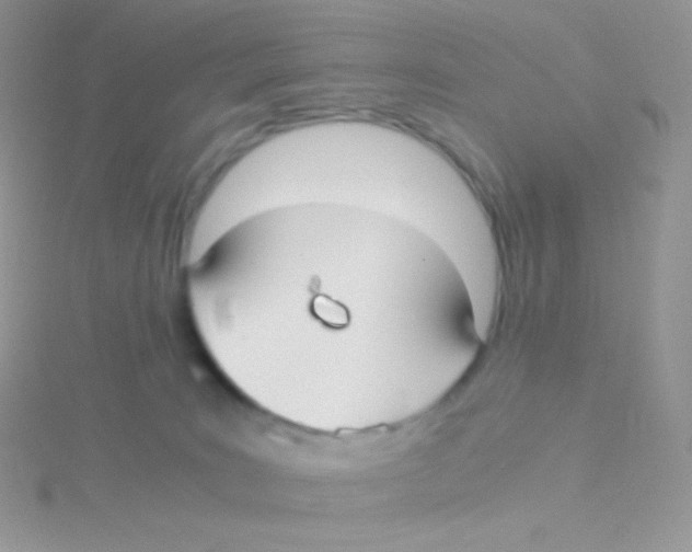 X0000115040035200911231141