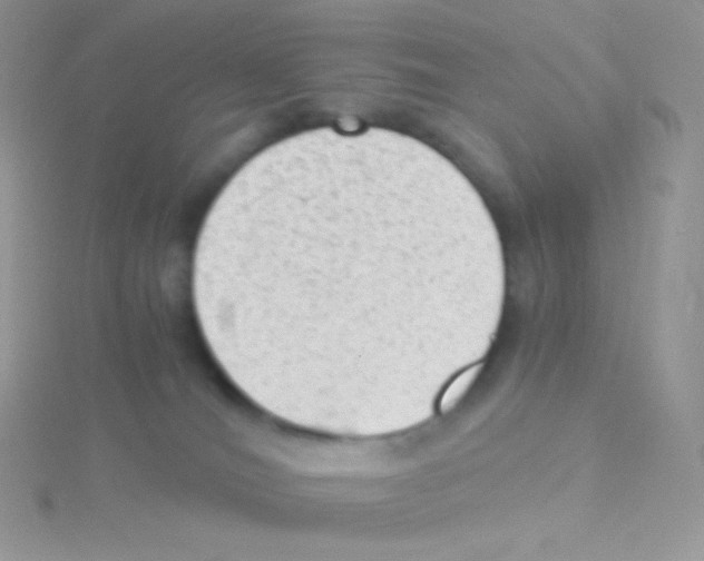 X0000115040036200911231141