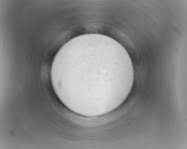 X0000115040038200911231141