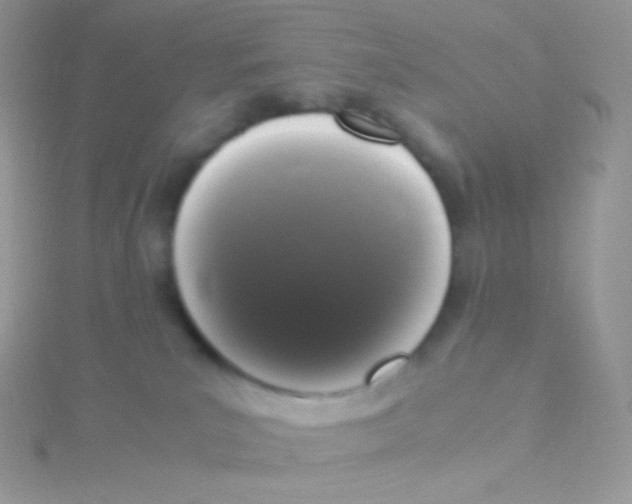 X0000115040039200911231141