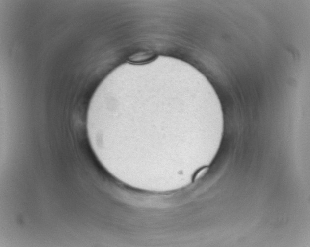 X0000115040040200911231141