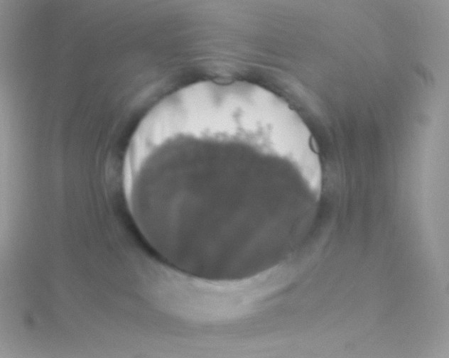 X0000115040043200911231141