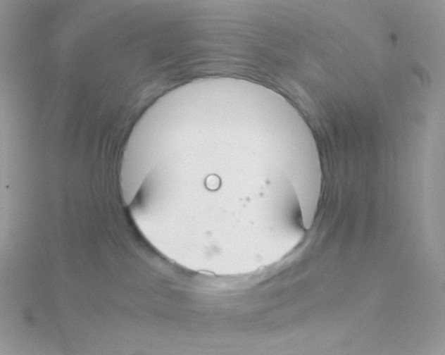 X0000115040045200911231141