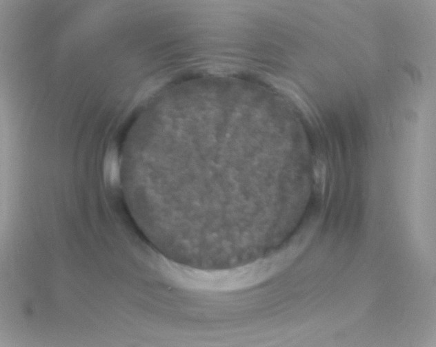 X0000115040046200911231141