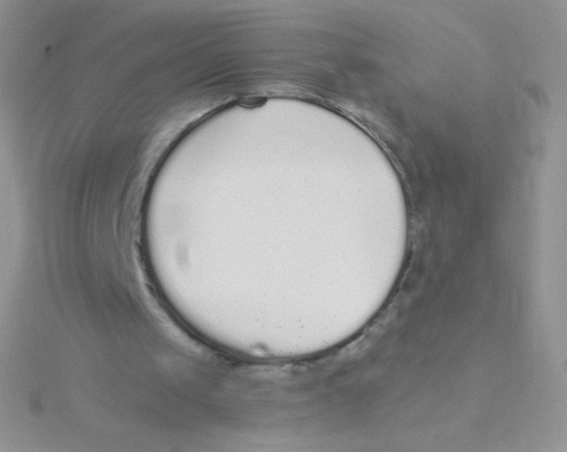 X0000115040049200911231141