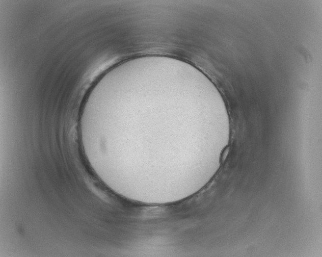 X0000115040050200911231141