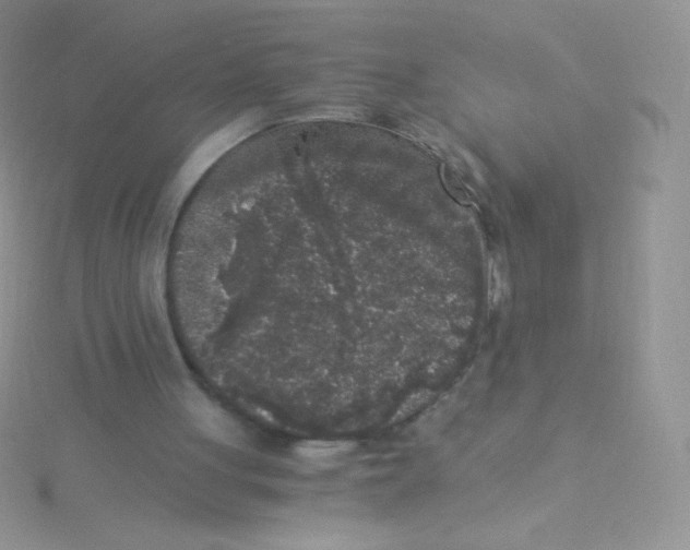 X0000115040051200911231141