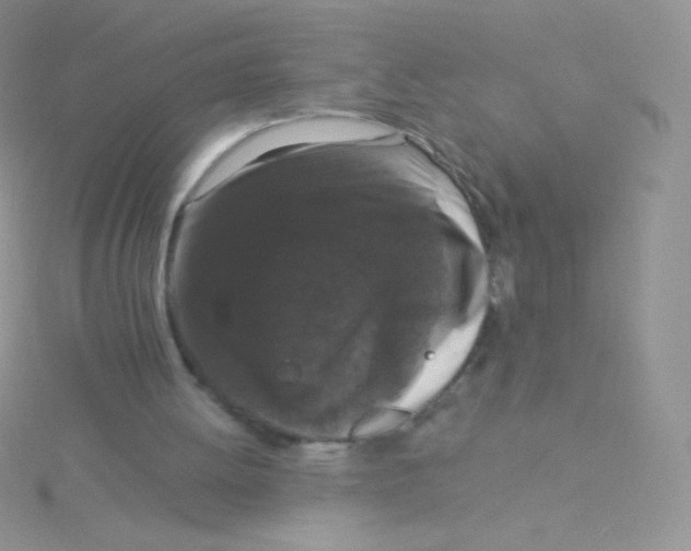 X0000115040052200911231141