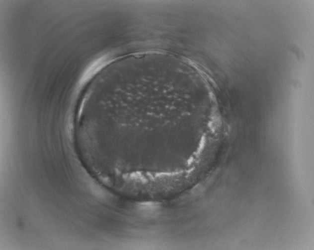 X0000115040053200911231141