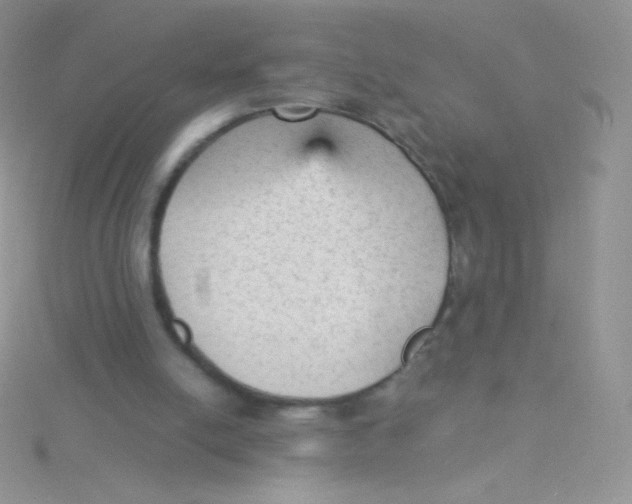 X0000115040054200911231141