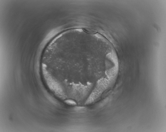 X0000115040055200911231141