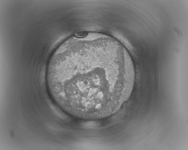 X0000115040058200911231141