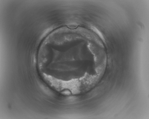 X0000115040059200911231141