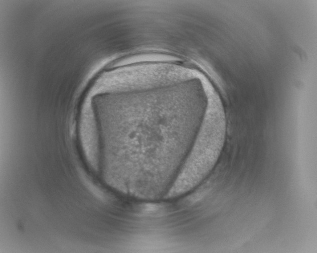 X0000115040060200911231141