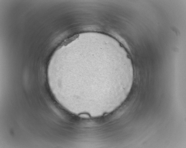 X0000115040061200911231141