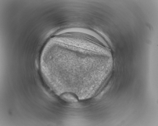 X0000115040062200911231141