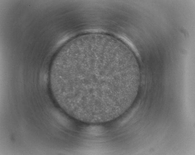 X0000115040063200911231141