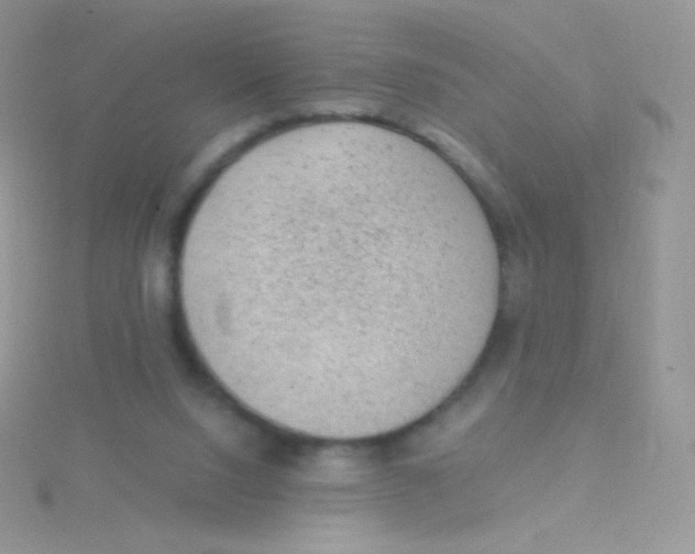 X0000115040064200911231141