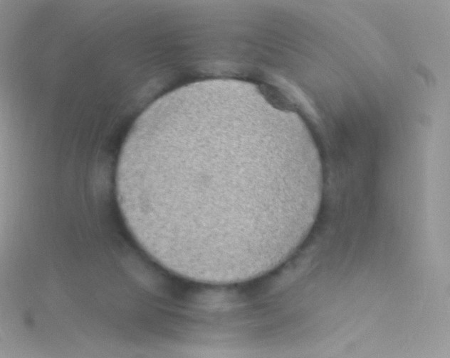 X0000115040065200911231141