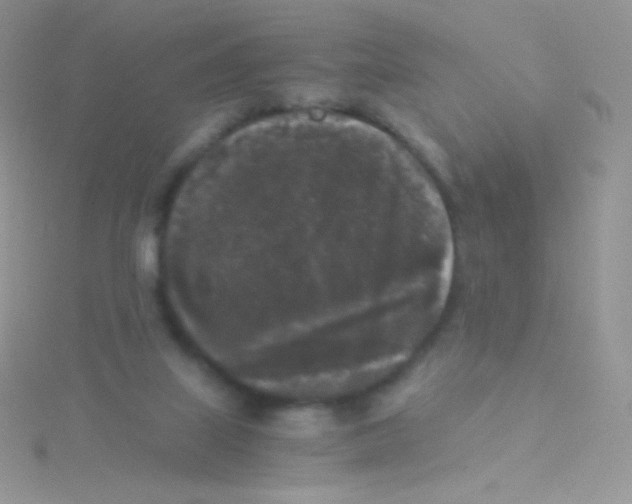 X0000115040067200911231141