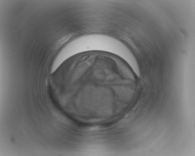 X0000115040068200911231141