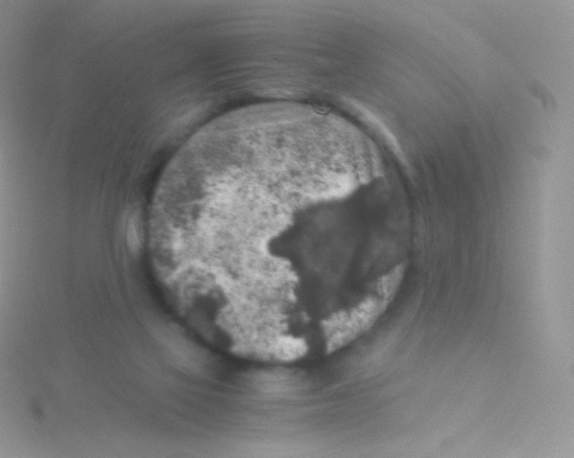 X0000115040069200911231141