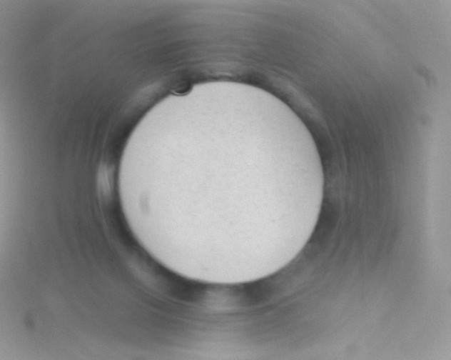 X0000115040070200911231141