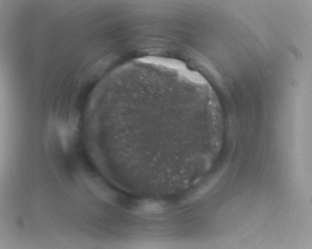 X0000115040073200911231141