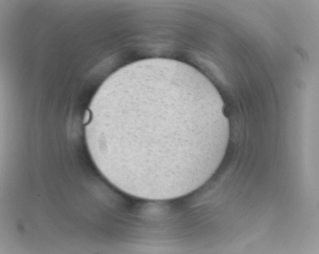 X0000115040077200911231141