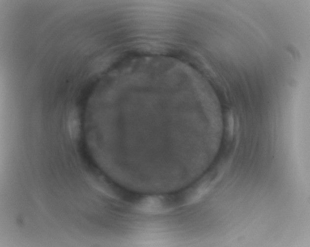 X0000115040080200911231141