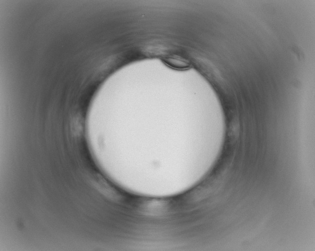 X0000115040081200911231141