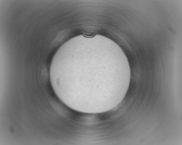 X0000115040086200911231141