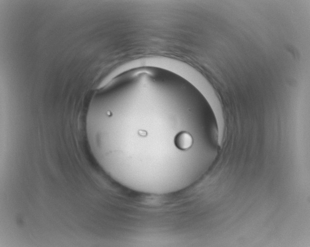 X0000115040088200911231141