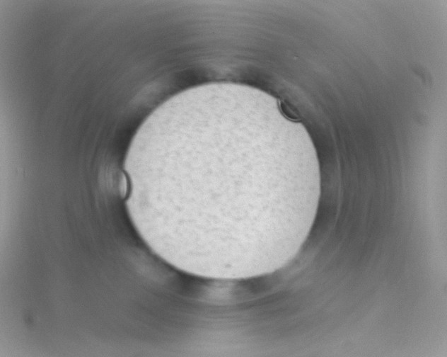 X0000115040090200911231141