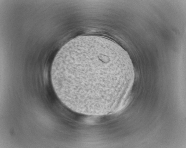 X0000115040094200911231141