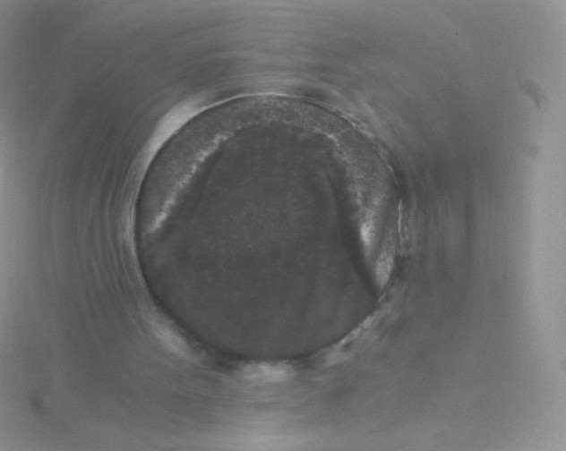 X0000115040099200911231141