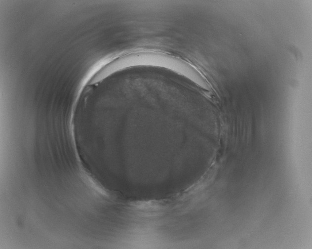 X0000115040100200911231141