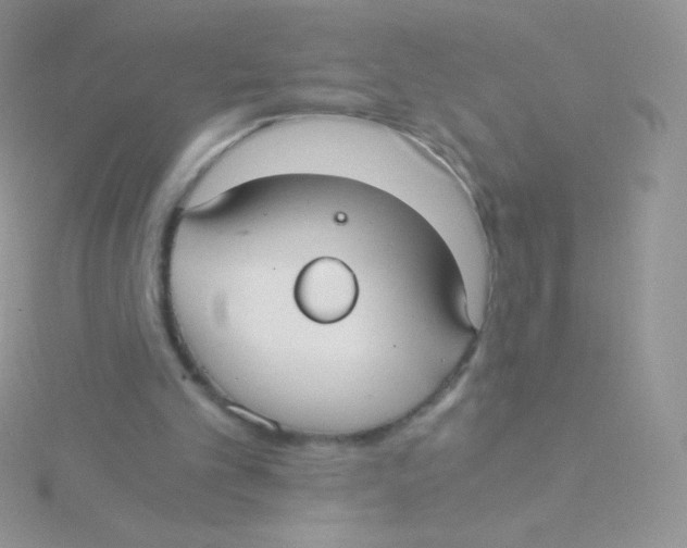 X0000115040101200911231141