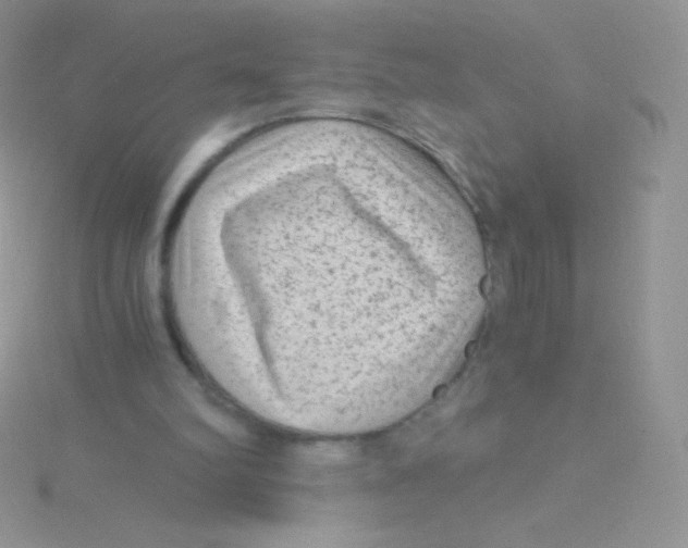 X0000115040102200911231141