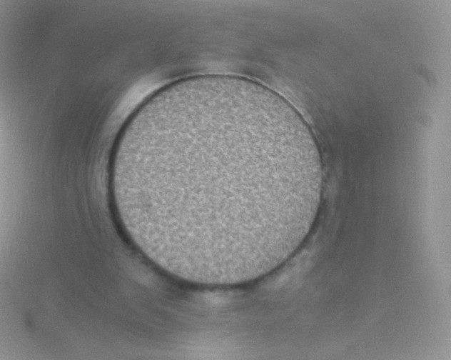 X0000115040103200911231141