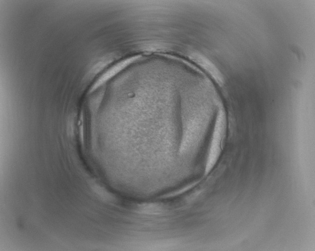 X0000115040105200911231141