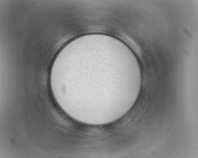 X0000115040107200911231141