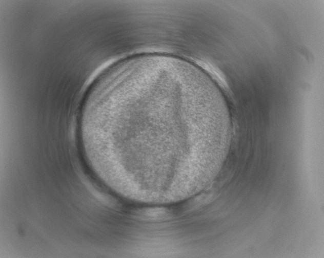 X0000115040108200911231141