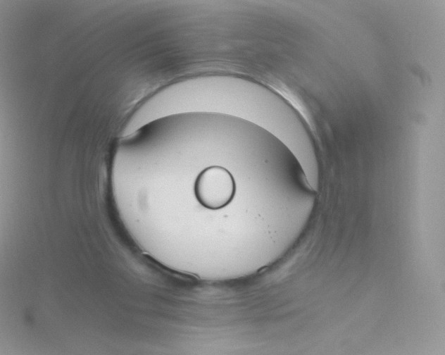 X0000115040109200911231141