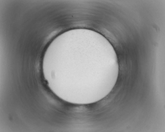 X0000115040112200911231140