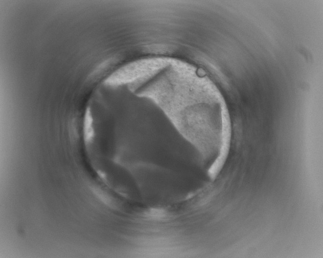 X0000115040114200911231140