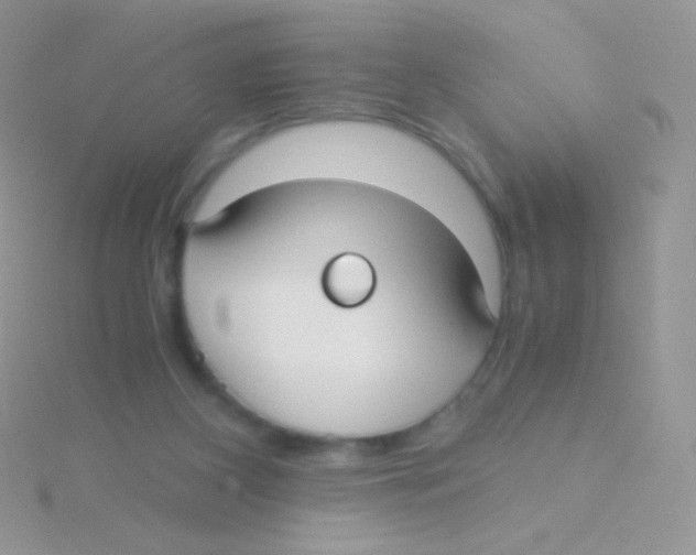 X0000115040116200911231140